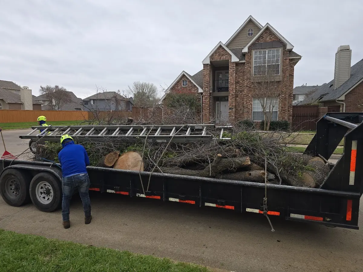 Expert Tree Fertilization with proper safety equipment in Tuscarawas